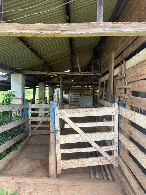 Fazenda em Aiuruoca/Minas Gerais — Ref JGSSQU — Imagem 21