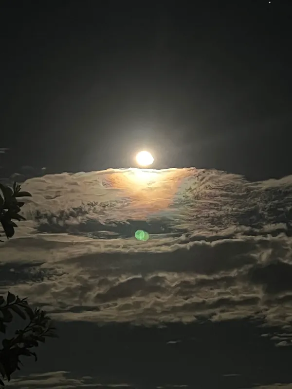 Fazenda em Aiuruoca/Minas Gerais — Ref JGSSQU — Imagem 28