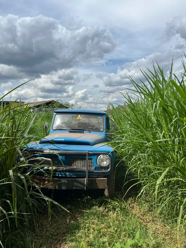 Fazenda em Aiuruoca/Minas Gerais — Ref JGSSQU — Imagem 32