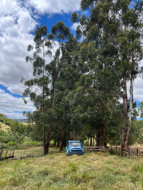 Fazenda em Aiuruoca/Minas Gerais — Ref JGSSQU — Imagem 36