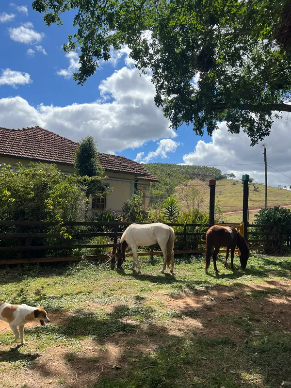 Fazenda em Aiuruoca/Minas Gerais — Ref JGSSQU — Imagem 37