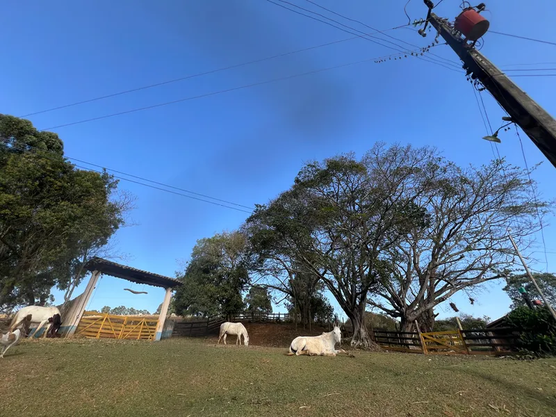 Fazenda em Aiuruoca/Minas Gerais — Ref JGSSQU — Imagem 43