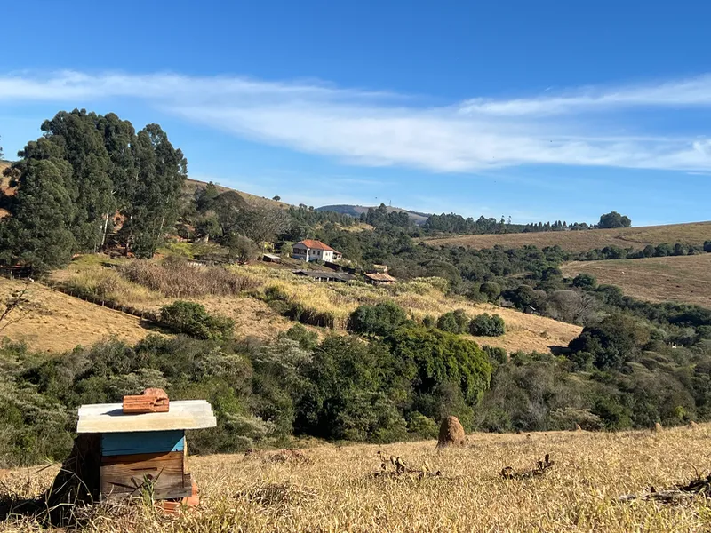 Fazenda em Aiuruoca/Minas Gerais — Ref JGSSQU — Imagem 45