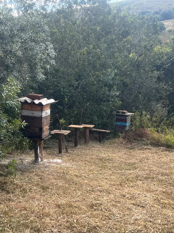 Fazenda em Aiuruoca/Minas Gerais — Ref JGSSQU — Imagem 48