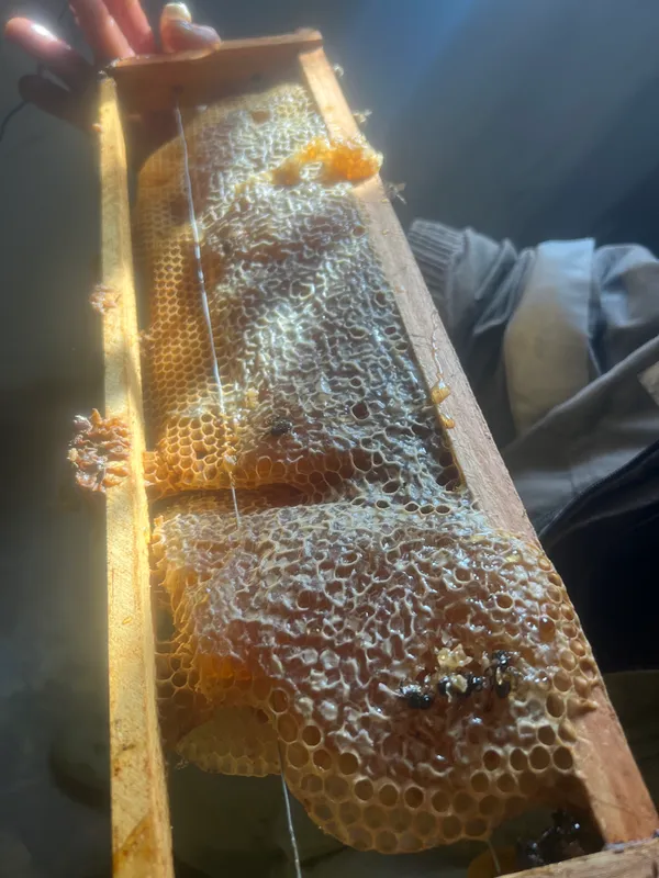 Fazenda em Aiuruoca/Minas Gerais — Ref JGSSQU — Imagem 49