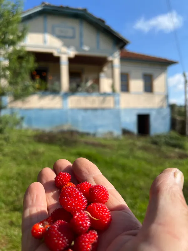 Fazenda em Aiuruoca/Minas Gerais — Ref JGSSQU — Imagem 60