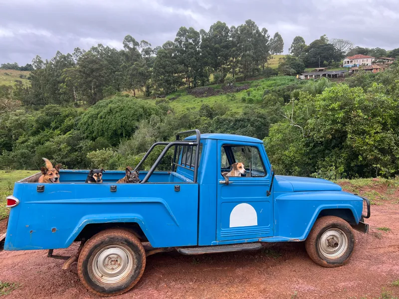 Fazenda em Aiuruoca/Minas Gerais — Ref JGSSQU — Imagem 63