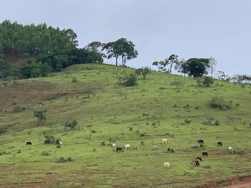 Fazenda em Aiuruoca/Minas Gerais — Ref JGSSQU — Imagem 69