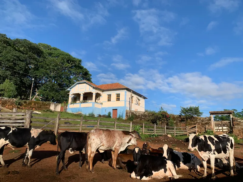 Fazenda em Aiuruoca/Minas Gerais — Ref JGSSQU — Imagem 73