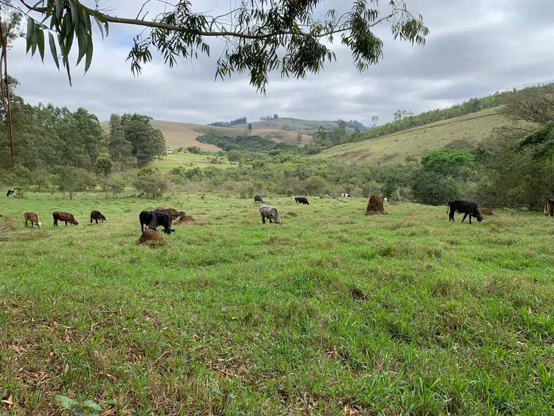 Fazenda em Aiuruoca/Minas Gerais — Ref JGSSQU — Imagem 76