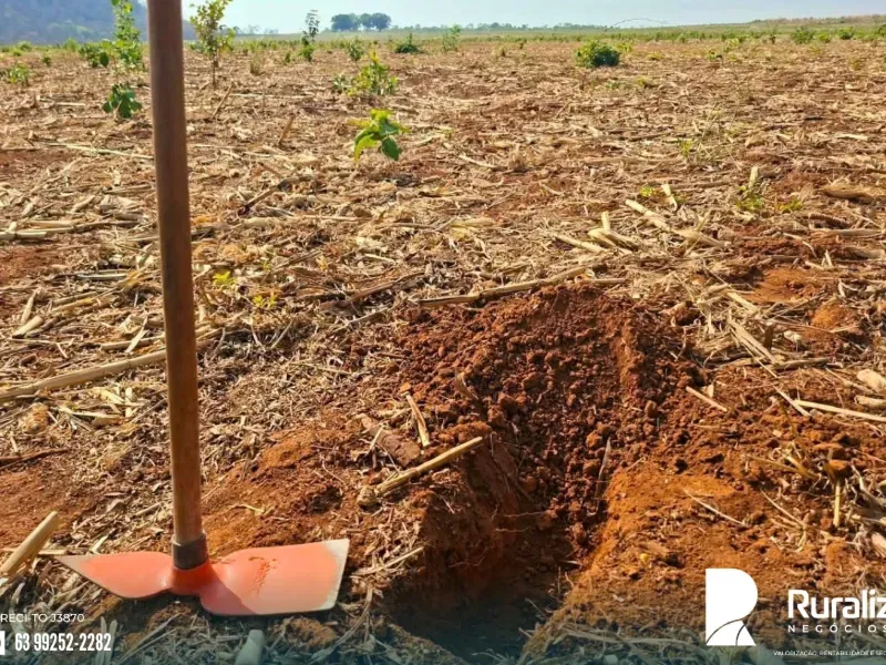 Fazenda em Almas/Tocantins — Ref YVNGMI — Imagem 5