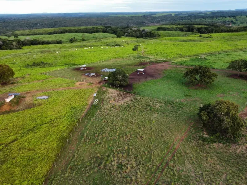 Fazenda em Aparecida do Rio Negro/Tocantins — Ref 0ZKVDD — Imagem 5