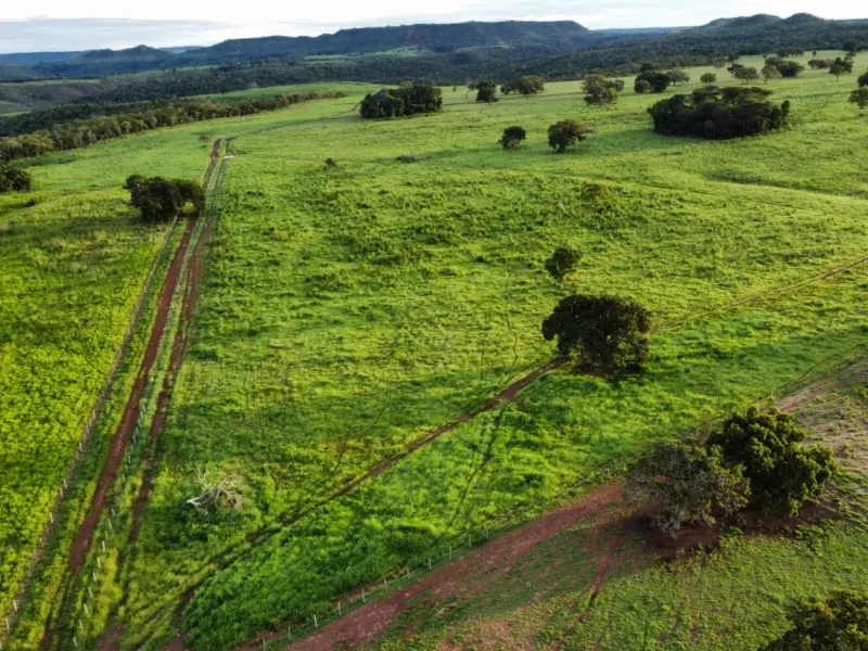 Fazenda em Aparecida do Rio Negro/Tocantins — Ref 0ZKVDD — Imagem 2