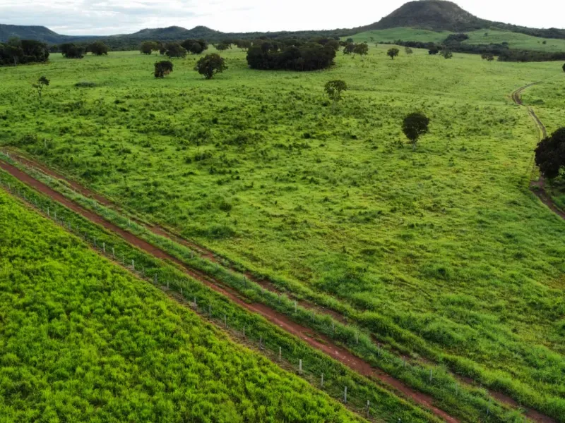 Imóvel rural em Aparecida do Rio Negro/Tocantins — Ref 0ZKVDD1
