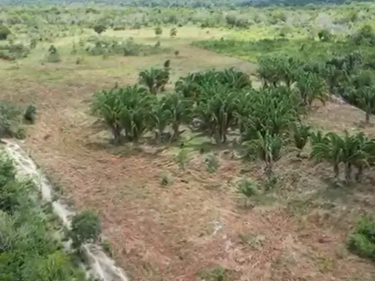Fazenda em Araguaína/Tocantins — Ref G6TXP6 — Imagem 2