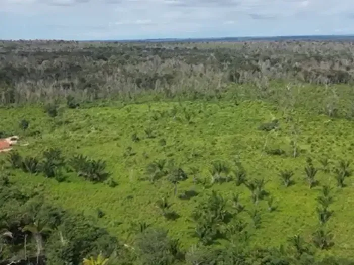 Fazenda em Araguaína/Tocantins — Ref G6TXP6 — Imagem 3