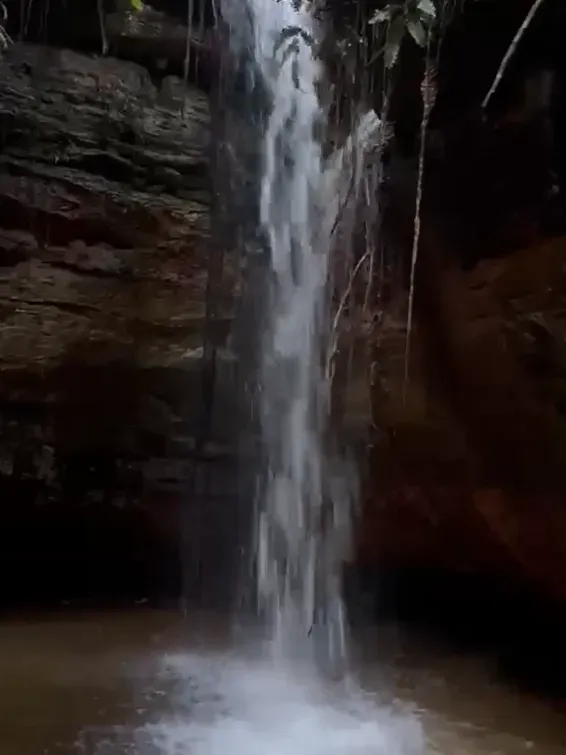 Fazenda em Araguaína/Tocantins — Ref G6TXP6 — Imagem 6