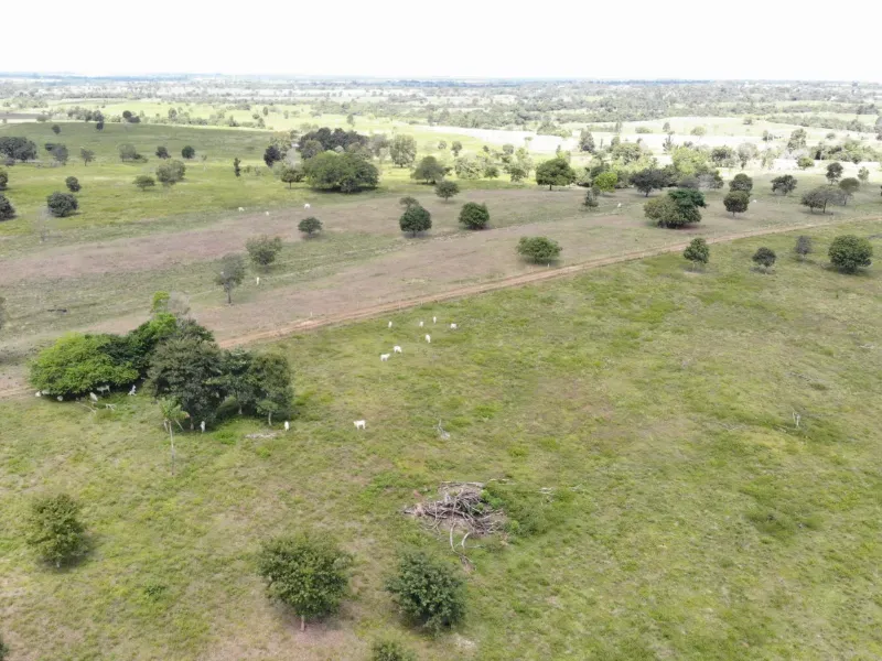 Fazenda em Arapoema/Tocantins — Ref 05JD2C — Imagem 2