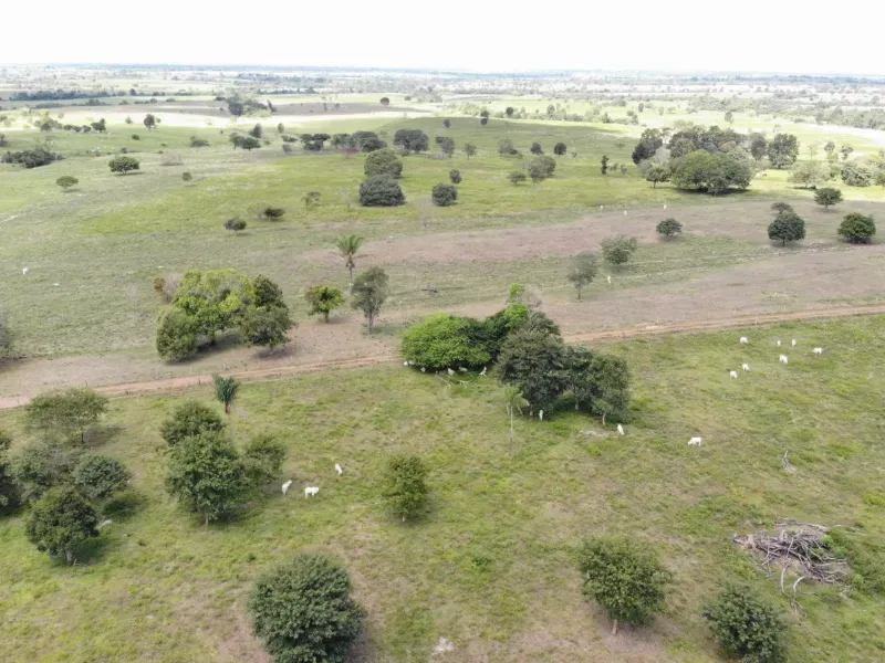 Fazenda em Arapoema/Tocantins — Ref 05JD2C — Imagem 4