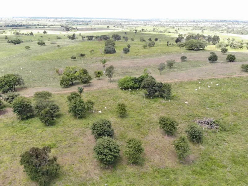 Fazenda em Arapoema/Tocantins — Ref 05JD2C — Imagem 5