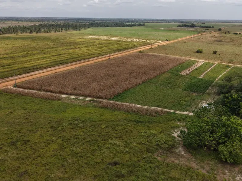 Fazenda em Boa Vista/Roraima — Ref TAUBEL — Imagem 15