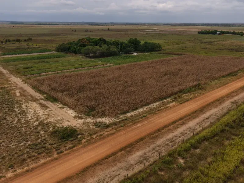 Fazenda em Boa Vista/Roraima — Ref TAUBEL — Imagem 16
