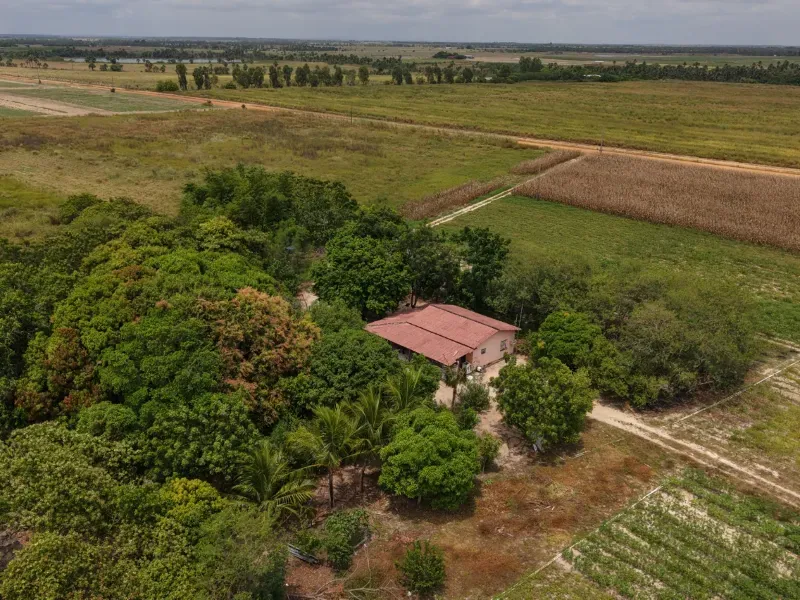 Fazenda em Boa Vista/Roraima — Ref TAUBEL — Imagem 17