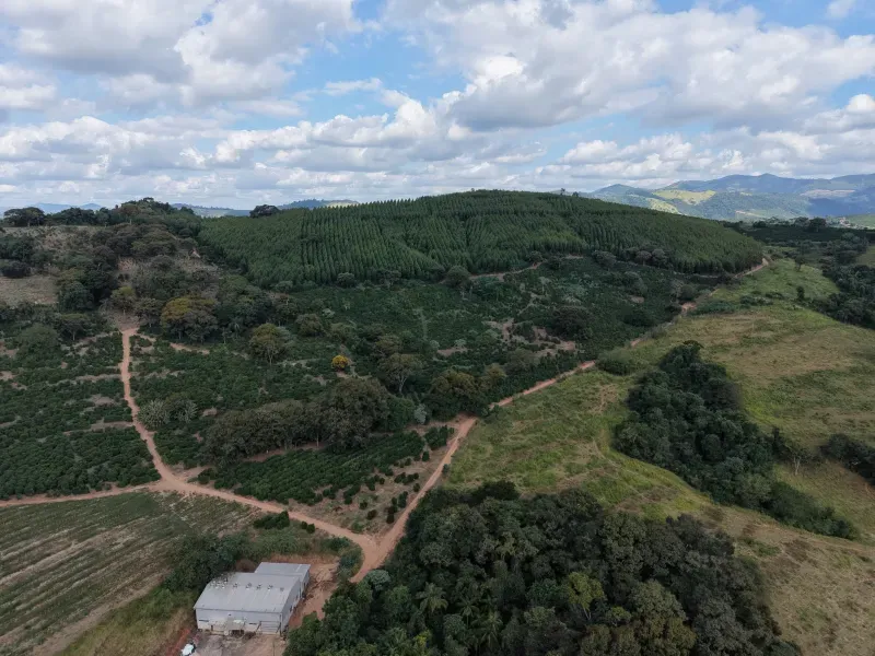 Fazenda em Botelhos/Minas Gerais — Ref 03VS7Q — Imagem 6