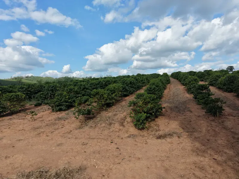 Fazenda em Botelhos/Minas Gerais — Ref 03VS7Q — Imagem 8