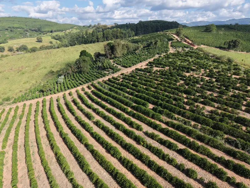 Fazenda em Botelhos/Minas Gerais — Ref 03VS7Q — Imagem 3