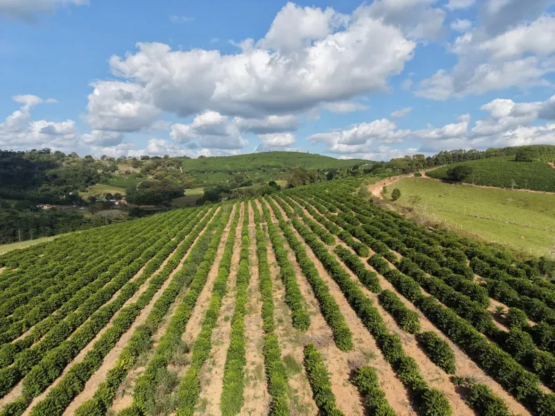 Fazenda em Botelhos - Minas Gerais