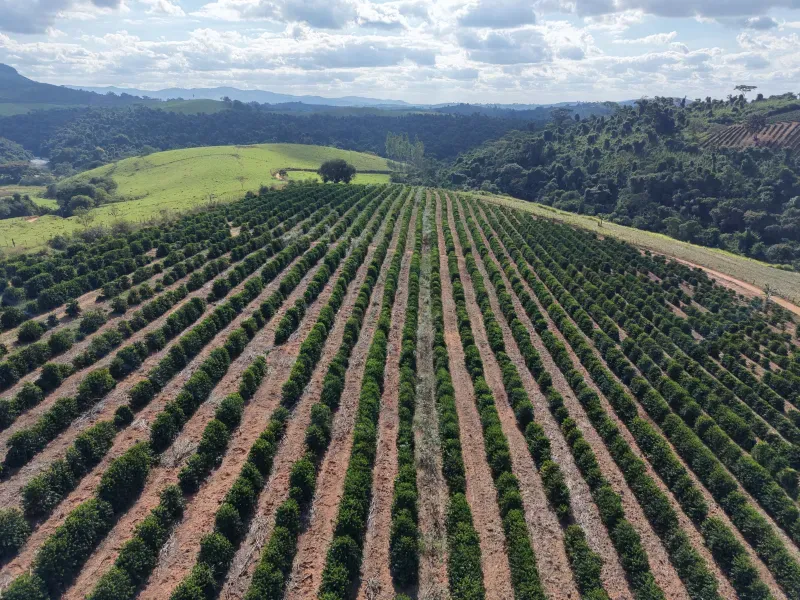 Fazenda em Botelhos/Minas Gerais — Ref 03VS7Q — Imagem 2
