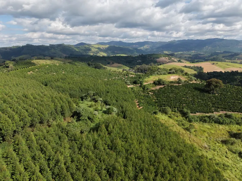 Fazenda em Botelhos/Minas Gerais — Ref 03VS7Q — Imagem 12