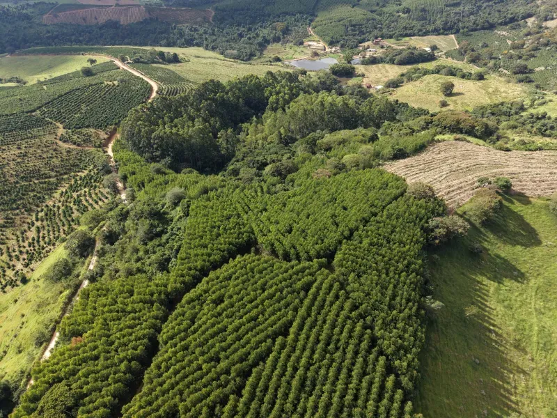 Fazenda em Botelhos/Minas Gerais — Ref 03VS7Q — Imagem 13