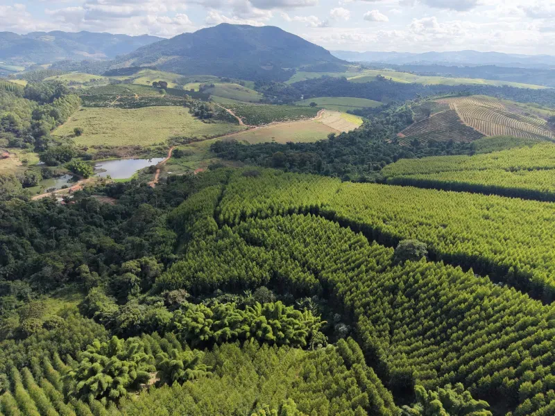 Fazenda em Botelhos/Minas Gerais — Ref 03VS7Q — Imagem 19