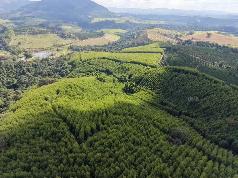 Fazenda em Botelhos/Minas Gerais — Ref 03VS7Q — Imagem 20