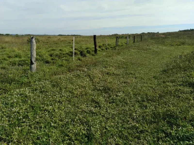 Fazenda em Brasilândia do Tocantins/Tocantins — Ref Q4T86C — Imagem 2