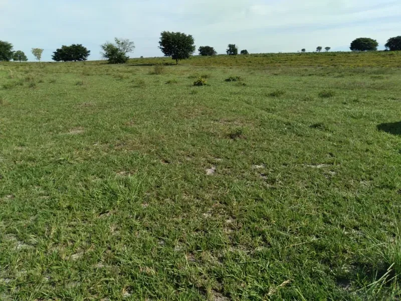 Fazenda em Brasilândia do Tocantins/Tocantins — Ref Q4T86C — Imagem 3