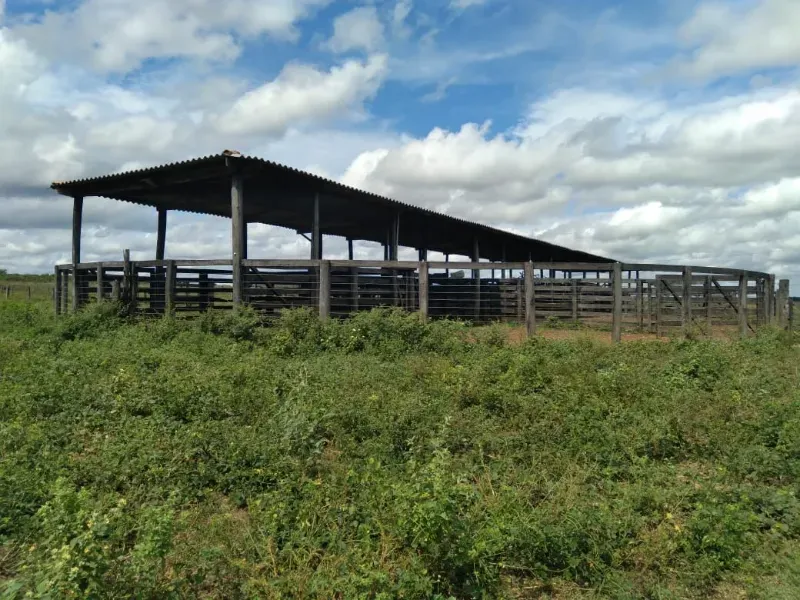 Fazenda em Brasilândia do Tocantins/Tocantins — Ref Q4T86C — Imagem 5