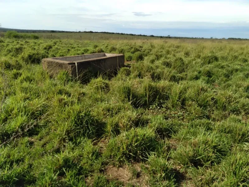 Fazenda em Brasilândia do Tocantins/Tocantins — Ref Q4T86C — Imagem 9