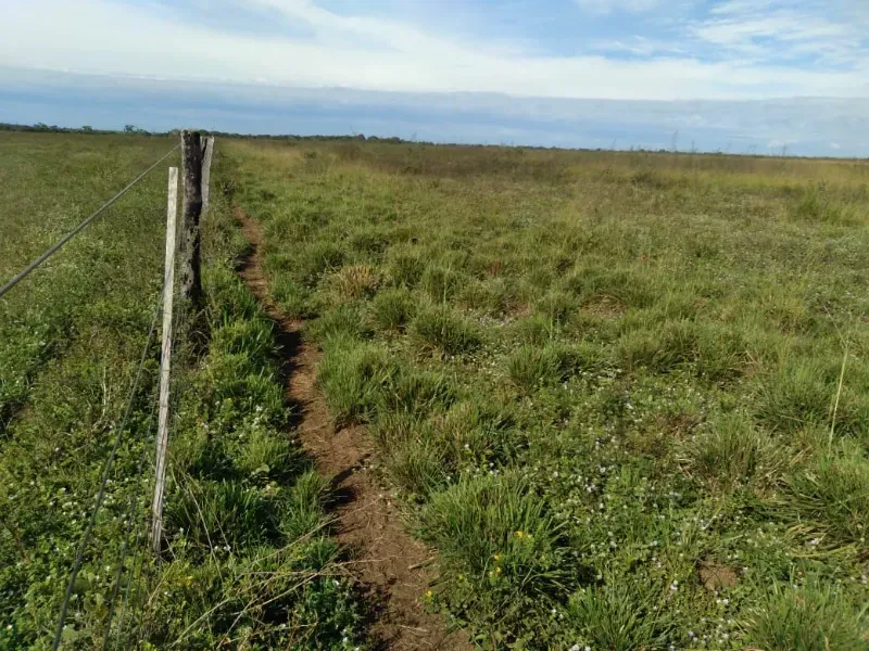 Fazenda em Brasilândia do Tocantins/Tocantins — Ref Q4T86C — Imagem 6