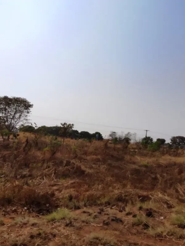 Fazenda em Brasília/Distrito Federal — Ref 39D2BU — Imagem 15