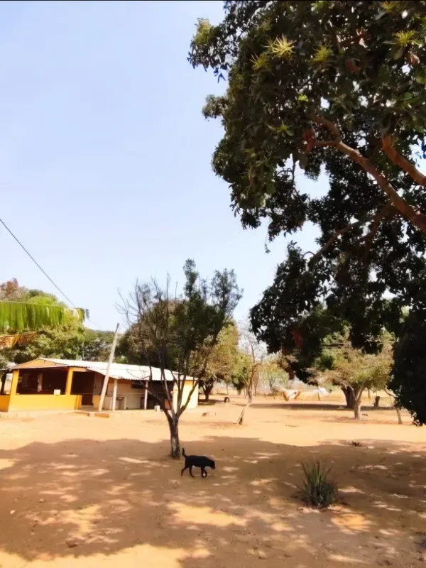 Fazenda em Brasília/Distrito Federal — Ref 39D2BU — Imagem 18