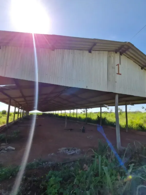 Fazenda em Brasília/Distrito Federal — Ref 39D2BU — Imagem 21