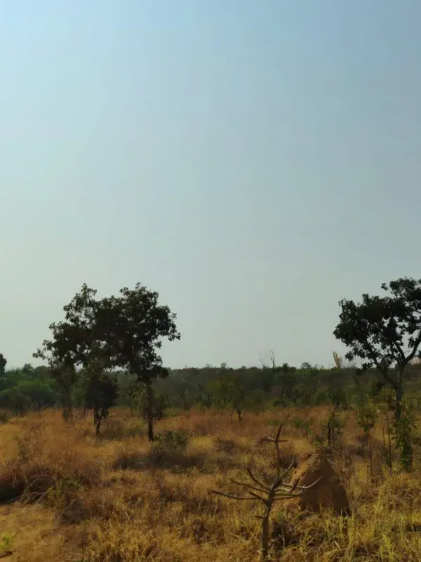 Fazenda em Brasília/Distrito Federal — Ref 39D2BU — Imagem 22