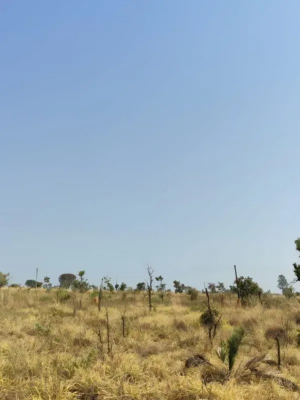 Fazenda em Brasília/Distrito Federal — Ref 39D2BU — Imagem 24