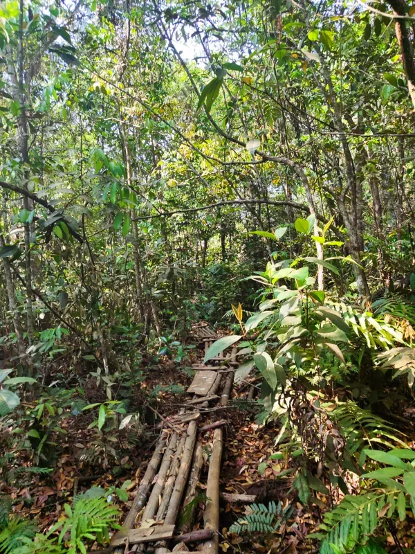 Fazenda em Brasília/Distrito Federal — Ref 39D2BU — Imagem 29