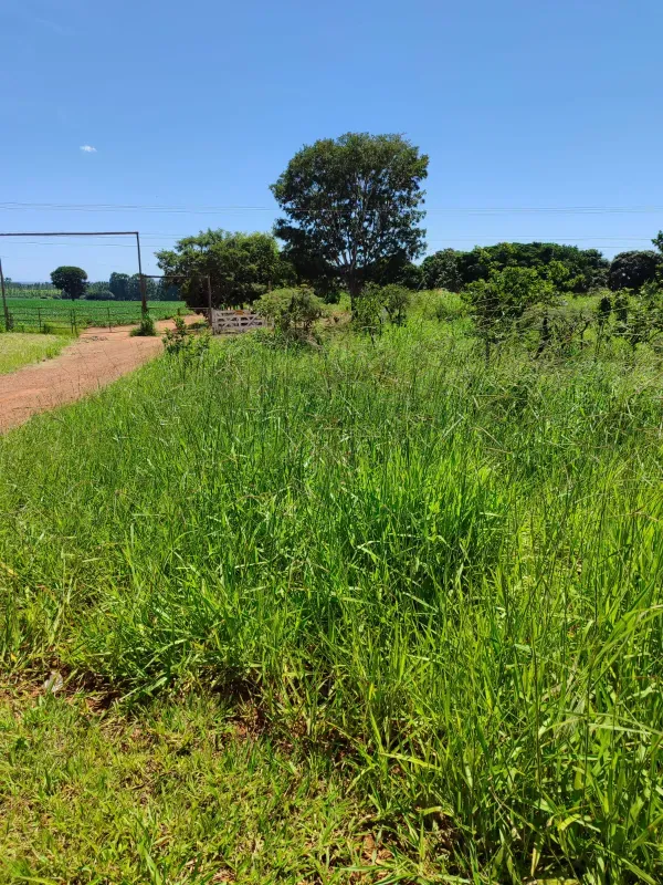 Fazenda em Brasília/Distrito Federal — Ref 39D2BU — Imagem 30