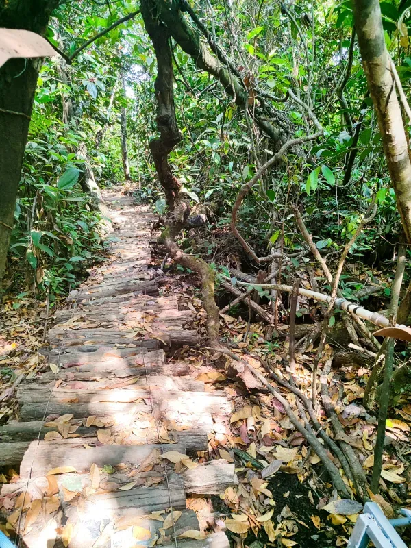 Fazenda em Brasília/Distrito Federal — Ref 39D2BU — Imagem 32