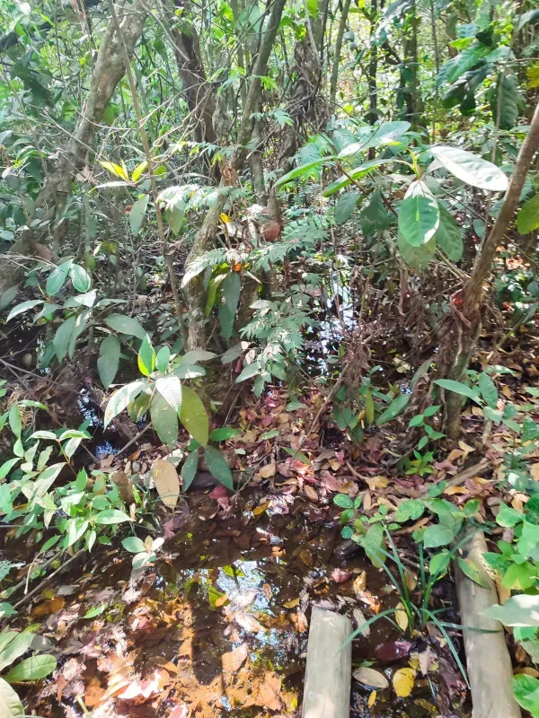 Fazenda em Brasília/Distrito Federal — Ref 39D2BU — Imagem 33